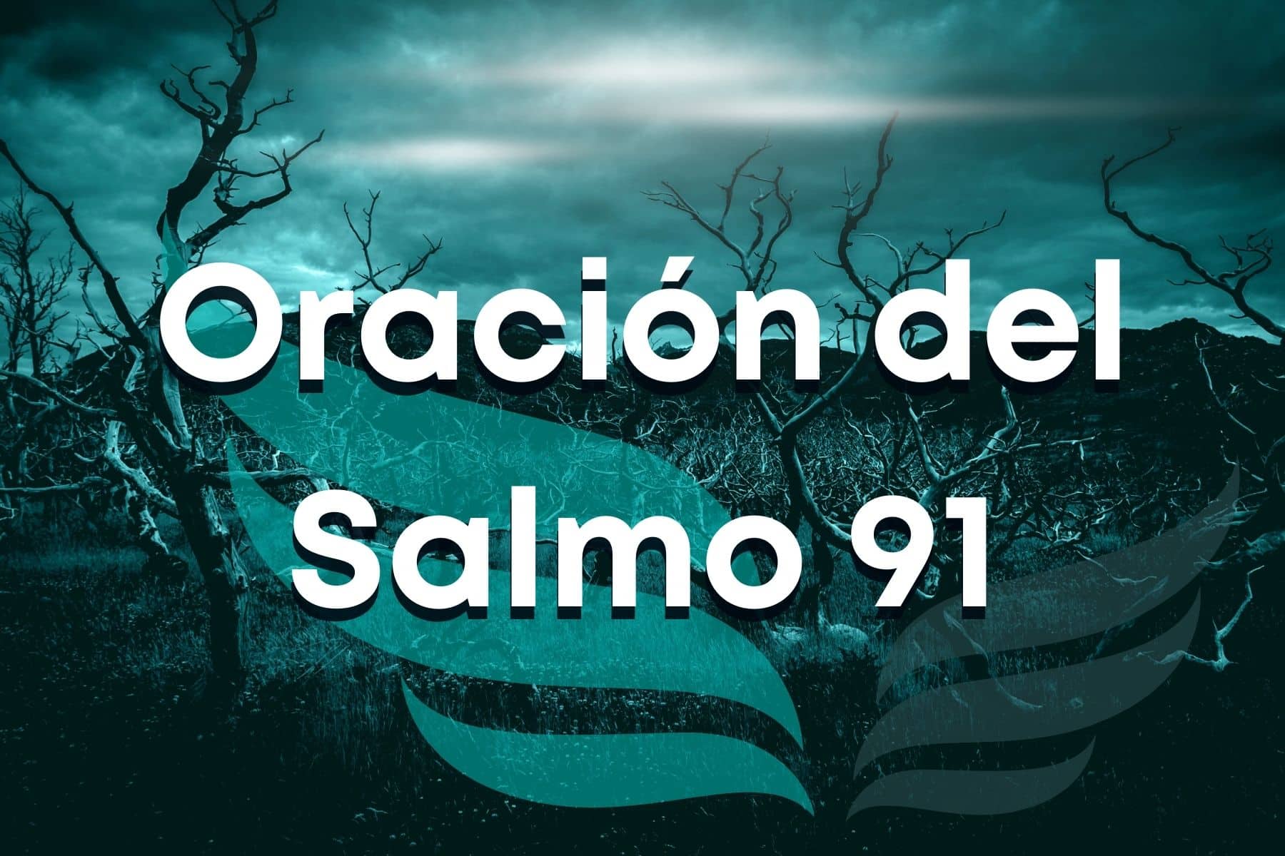 Oración del Salmo 91 - Bride Ministries International